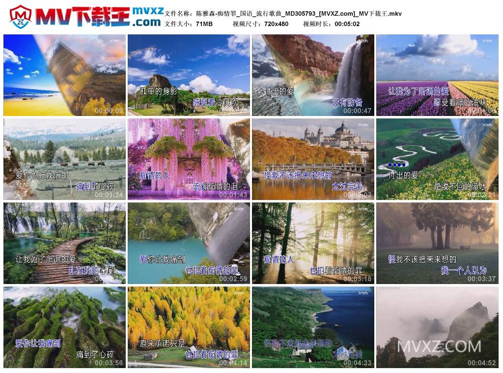 陈雅森-痴情罪_国语_流行歌曲_MD305793